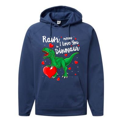 Rawr Means I Love You In Dinosaur Gift Valentines Day Cute Gift Performance Fleece Hoodie