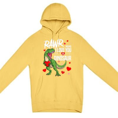 Rawr Means I Love You In Dinosaur T Rex Lover Valentine Funny Gift Premium Pullover Hoodie