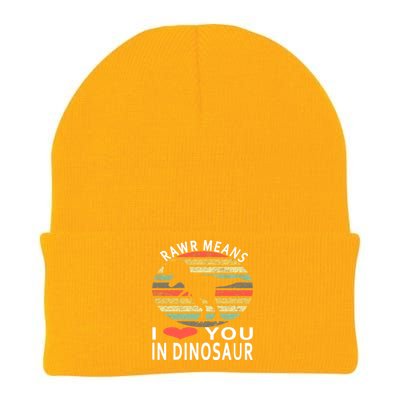 Rawr Means I Love You In Dinosaur Valentine's Day Funny Gift Knit Cap Winter Beanie