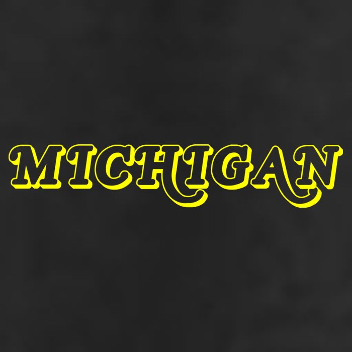 Retro Michigan Logo Adult Drive Performance Visor