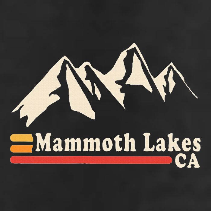 Retro Mammoth Lakes California Ca Mountain Ski 11oz C Handle Ceramic Mug