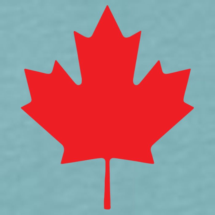 Red Maple Leaf Flag Of Canada Cool Canadian Flags Sueded Cloud Jersey T-Shirt