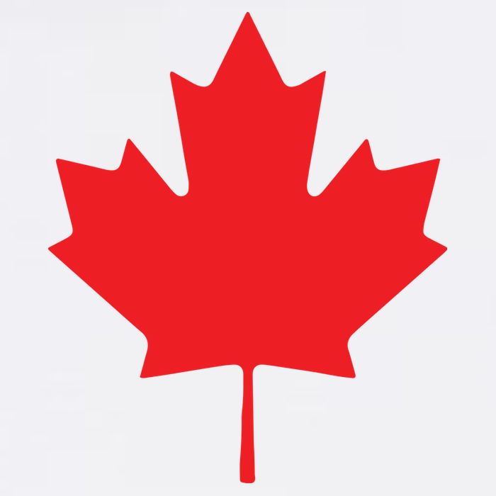 Red Maple Leaf Flag Of Canada Cool Canadian Flags Cool Comfort Performance Bucket Hat