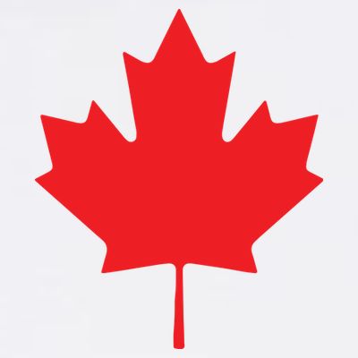 Red Maple Leaf Flag Of Canada Cool Canadian Flags T-Shirt