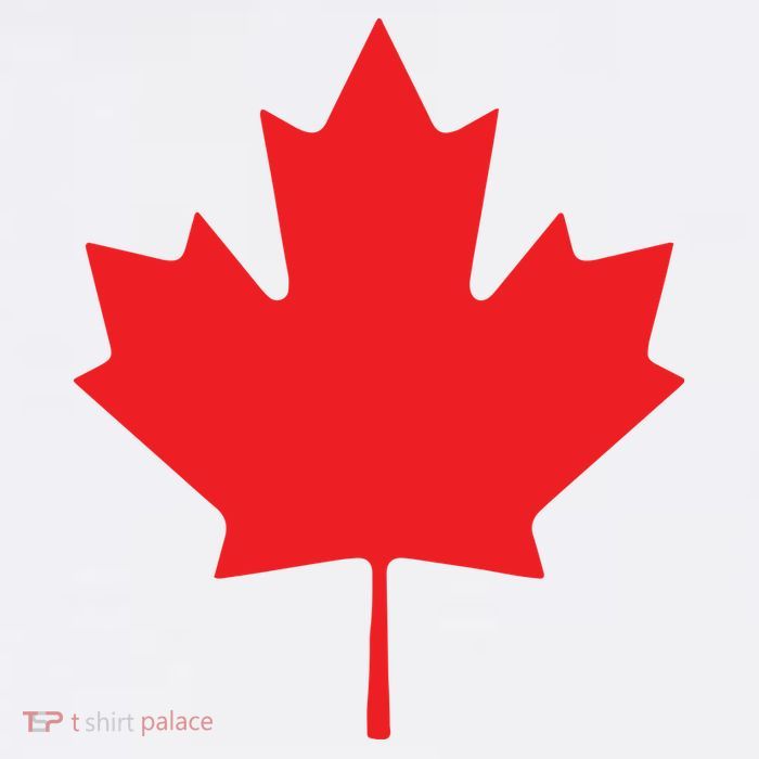 Red Maple Leaf Flag Of Canada Cool Canadian Flags Poster