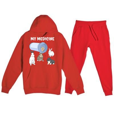 Rabbit My Medicine Bunny My Medicine Great Gift Premium Hooded Sweatsuit Set