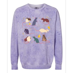 Rat Mouses Of The World Cute Mice Wheat Rodent Field Animals Colorblast Crewneck Sweatshirt