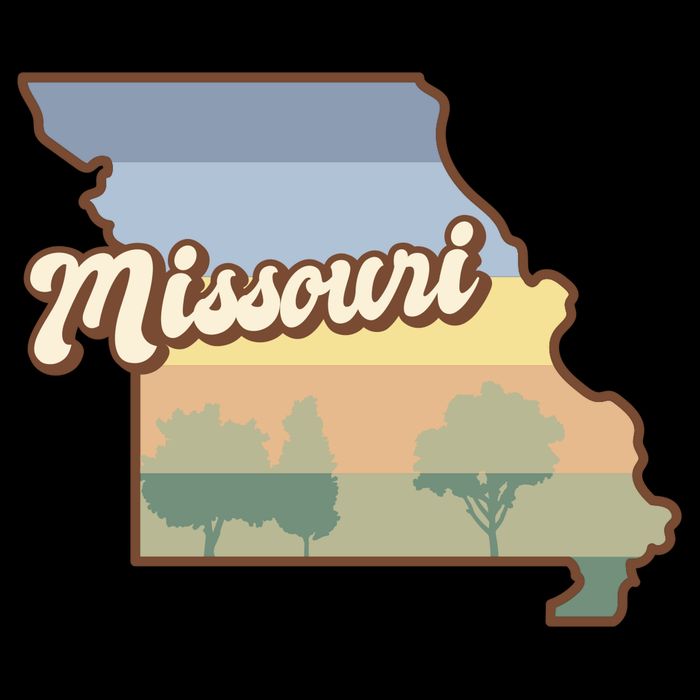 Retro Missouri Women's Crop Top Tee
