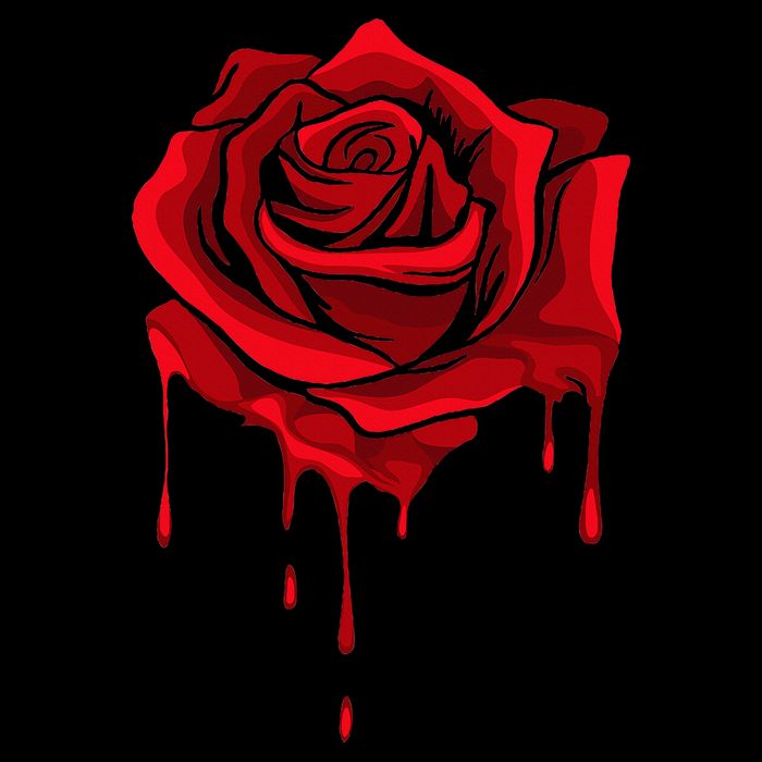 Red Melting Rose Garden Gardener Botanist Flowers Rose Polo