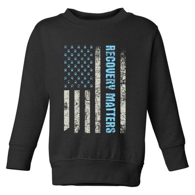 Recovery Matters Sobriety Anniversary Sober Aa Na Toddler Sweatshirt