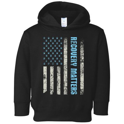 Recovery Matters Sobriety Anniversary Sober Aa Na Toddler Hoodie
