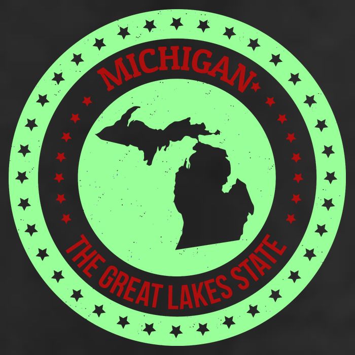 Retro Michigan The Great Lake State Logo Cool Comfort Performance Bucket Hat