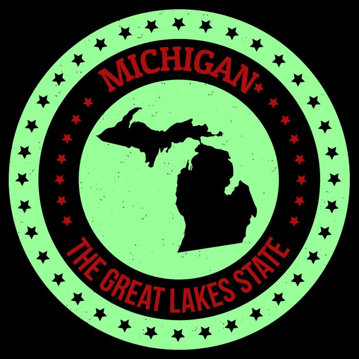 Retro Michigan The Great Lake State Logo 16 in Basic Backpack