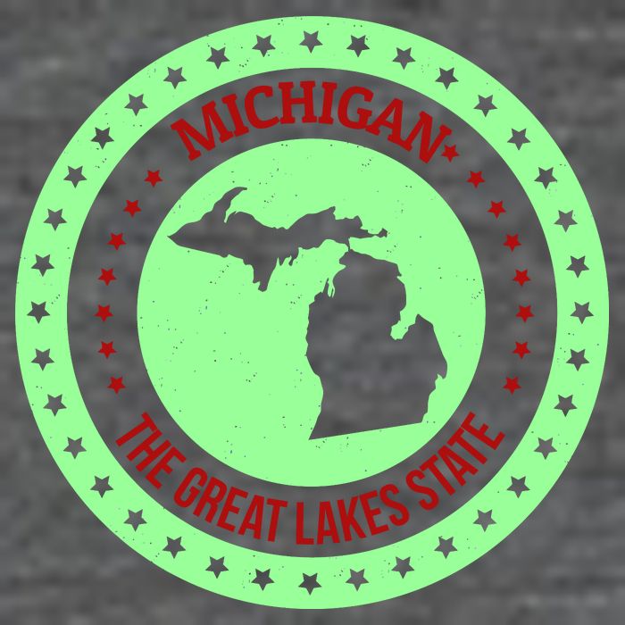Retro Michigan The Great Lake State Logo Zip Tote Bag