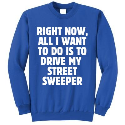 Right Now All I Want To Do Is To Drive My Street Sweeper Gift Tall Sweatshirt