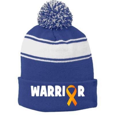 Renal Ney Cancer Survivor Ney Cancer Fighting Cool Gift Stripe Pom Pom Beanie