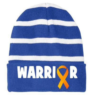 Renal Ney Cancer Survivor Ney Cancer Fighting Cool Gift Striped Beanie with Solid Band