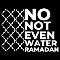Ramadan No Not Even Water Gift For Ramadan Mubarak Pom Pom 12in Knit Beanie