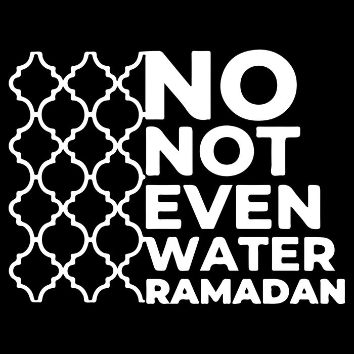 Ramadan No Not Even Water Gift For Ramadan Mubarak Pom Pom 12in Knit Beanie