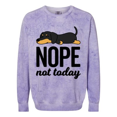 Retro Nope Not Today Funny Lazy Dachshund Wiener Dog Lover Gift Colorblast Crewneck Sweatshirt