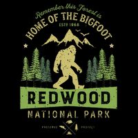 Redwood National Park Vintage California Bigfoot Womens Tank Top