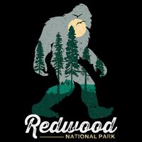 Redwood National Park Camping Bigfoot National Park Backpack