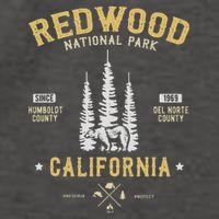 Redwood National Park  Redwood Forest Us Nationalpark Vector Backpack