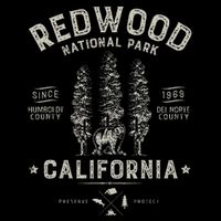 Redwood National Park Vintage California Bear Gifts T-Shirt