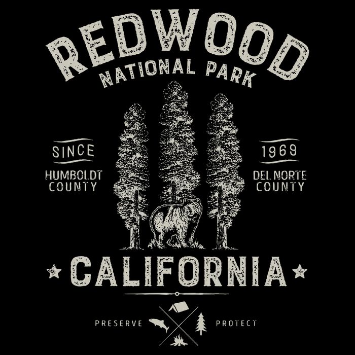 Redwood National Park Vintage California Bear Gifts T-Shirt