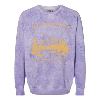 Redwood National Park Hiking Camping Colorblast Crewneck Sweatshirt