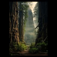 Redwood National Park Backpack