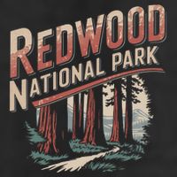 Redwood National Park 11oz C Handle Ceramic Mug