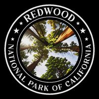 Redwood National Park Of California Redwood Forest Flat Bill Trucker Hat