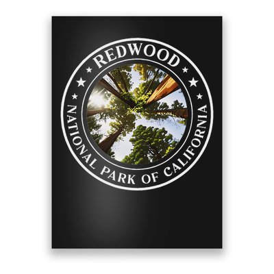 Redwood National Park Of California Redwood Forest Poster