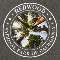 Redwood National Park Of California Redwood Forest Cotton Canvas Backpack