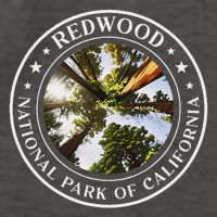 Redwood National Park Of California Redwood Forest Vector Backpack