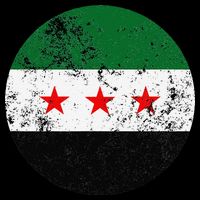 Retro New Syrian Flag Free Syria Freedom Premium T-Shirt