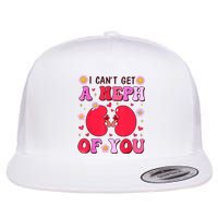 Retro Nurse Valentine's Day I Can't A Neph Of You Flat Bill Trucker Hat