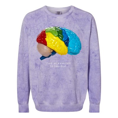 Rex Orange County The Alexander Technique Colorblast Crewneck Sweatshirt