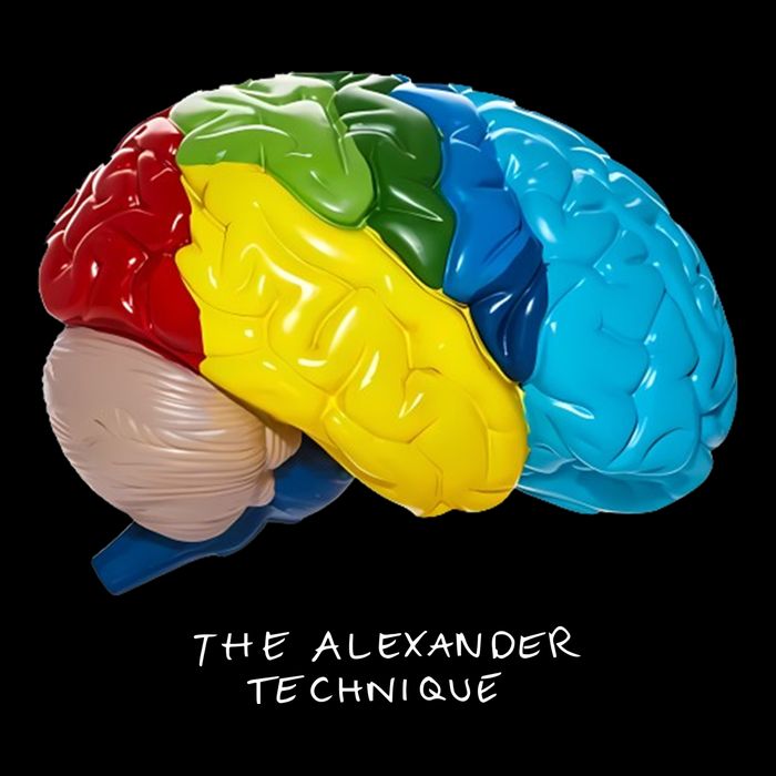 Rex Orange County The Alexander Technique T-Shirt
