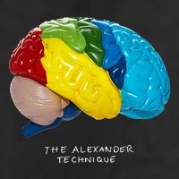 Rex Orange County The Alexander Technique Adult Drive Performance Visor