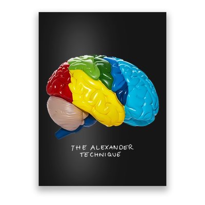 Rex Orange County The Alexander Technique Poster