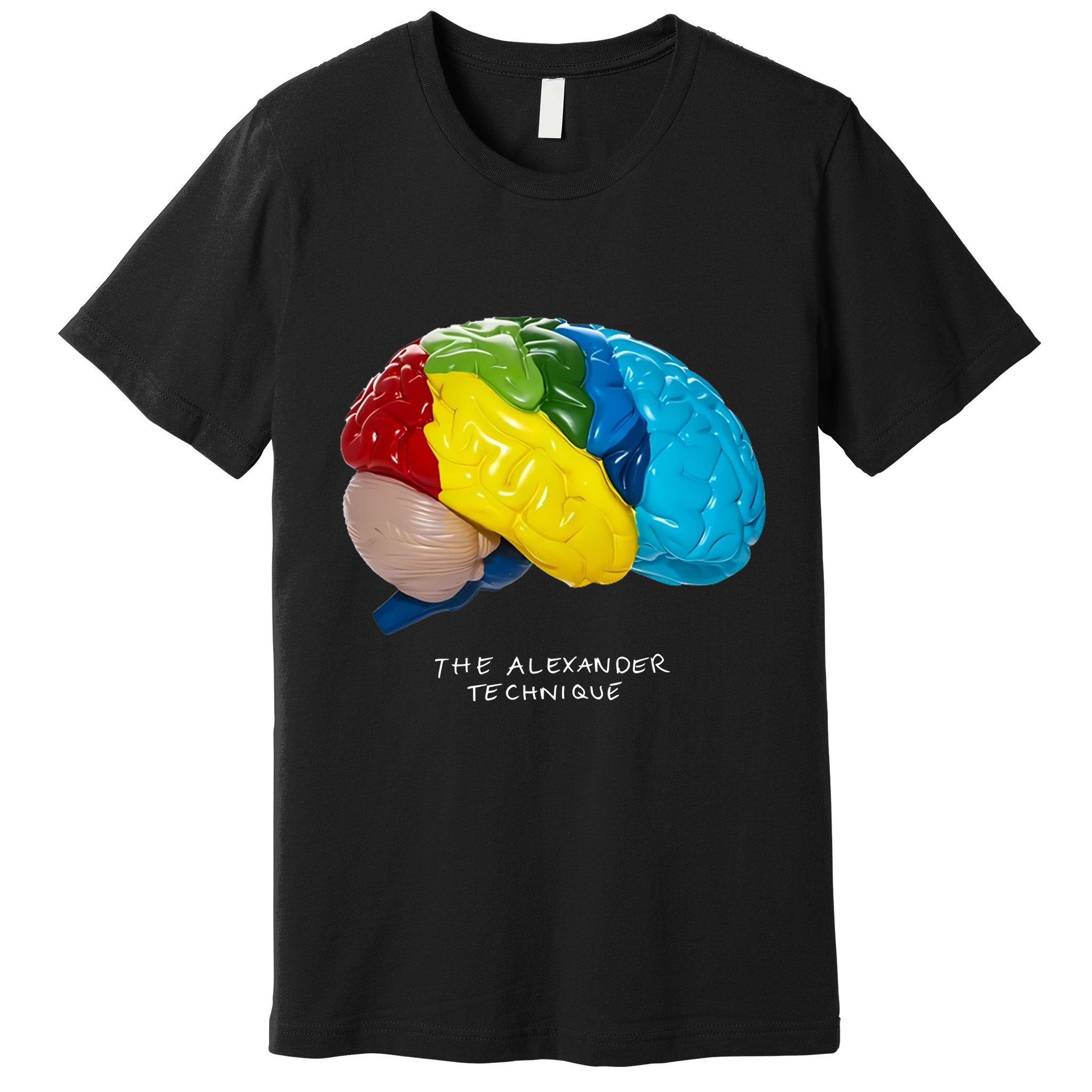 Rex Orange County The Alexander Technique Premium T-Shirt