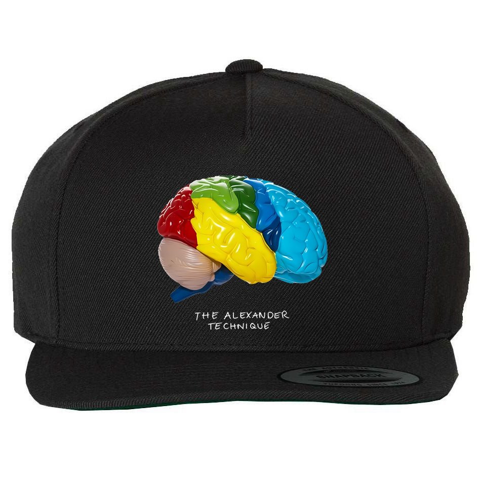 Rex Orange County The Alexander Technique Wool Snapback Cap