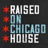 Raised On Chicago House Music Edm Dj Illinois Raver 7 Panel Mesh Trucker Snapback Hat