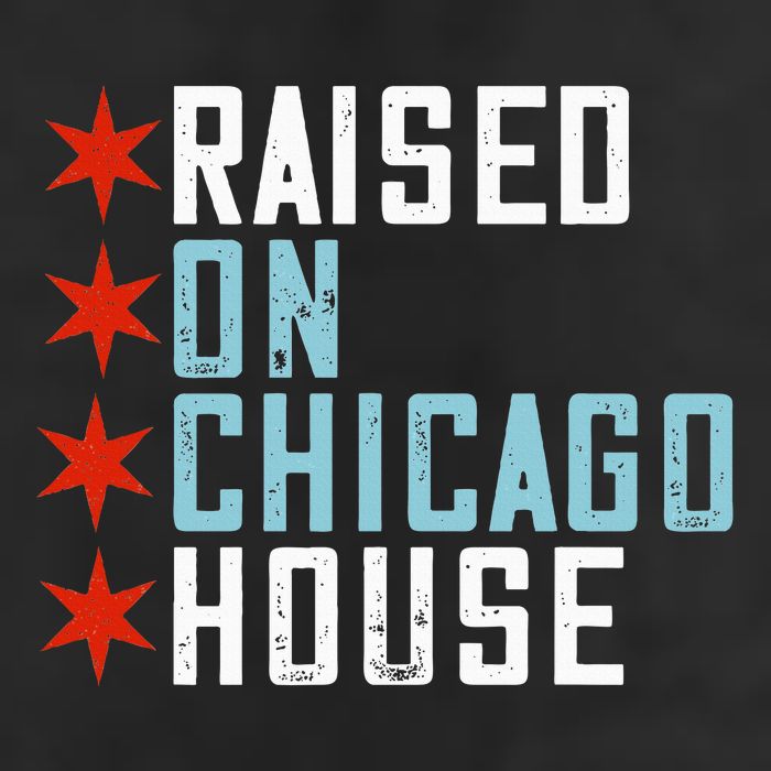 Raised On Chicago House Music Edm Dj Illinois Raver 7 Panel Mesh Trucker Snapback Hat