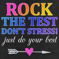 Rock The Test 12oz Stainless Steel Coffee Mug