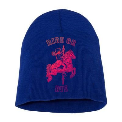 Ride Or Die Funny Vintage Carousel Horse Funny Gift Short Acrylic Beanie