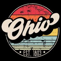 Retro Ohio Home State Oh Cool 70s Style Sunset Stripe Pom Pom Beanie