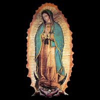 Real Our Lady Of Guadalupe Virgin Mary Catholic Toddler T-Shirt